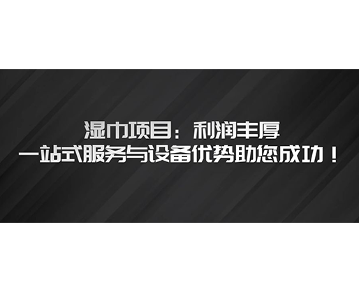 濕巾項目：利潤豐厚，一站式服務(wù)與設(shè)備優(yōu)勢助您成功！