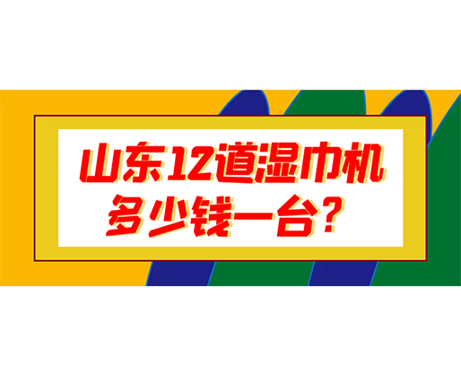 山東12道濕巾機多少錢一臺？